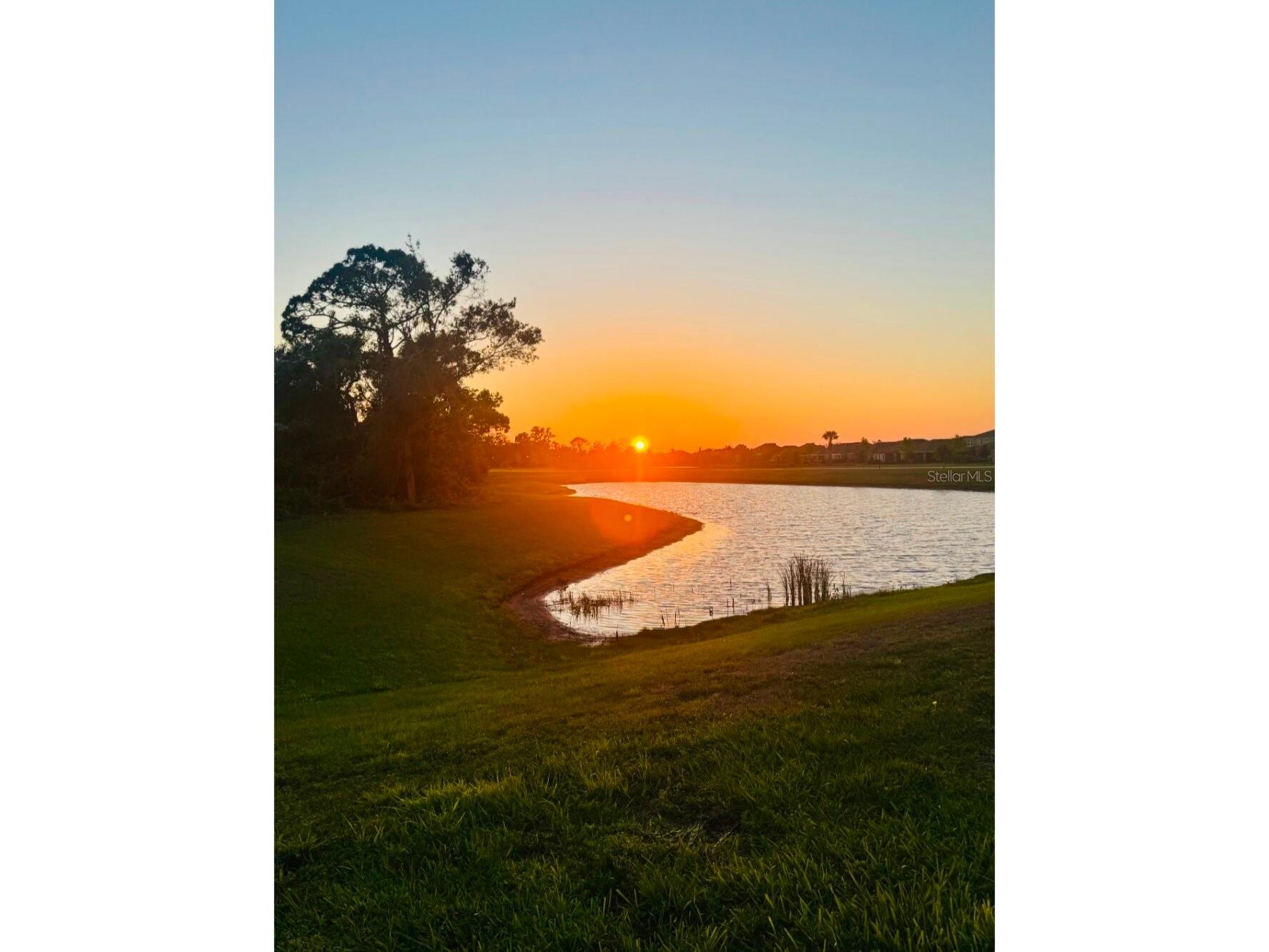 5560 Summer Sunset Drive Apollo Beach FL 33572 TB8518061 image26