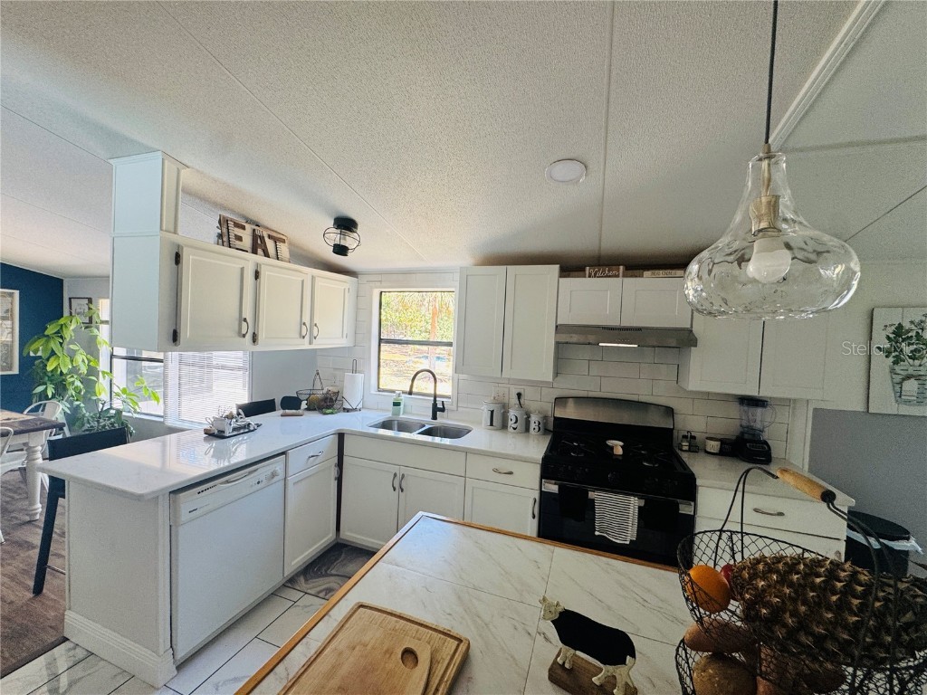 5560 SW 183rd Terrace Dunnellon FL 34432 OM700384 image21