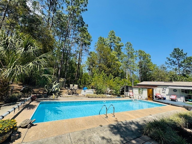 5560 SW 183rd Terrace Dunnellon FL 34432 OM700384 image40