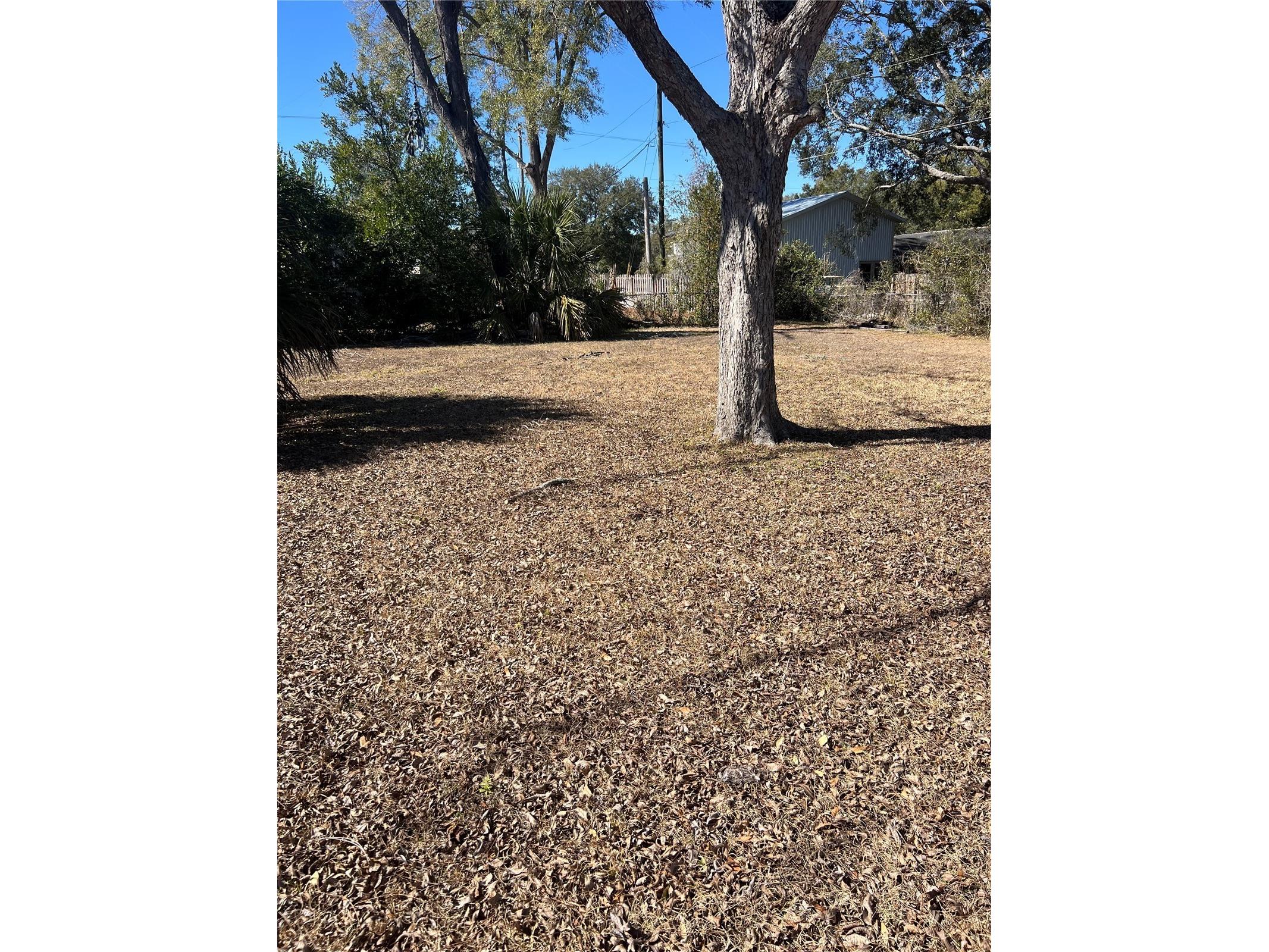 5561 NE 5th Place Ocala FL 34470 OM718756 image98