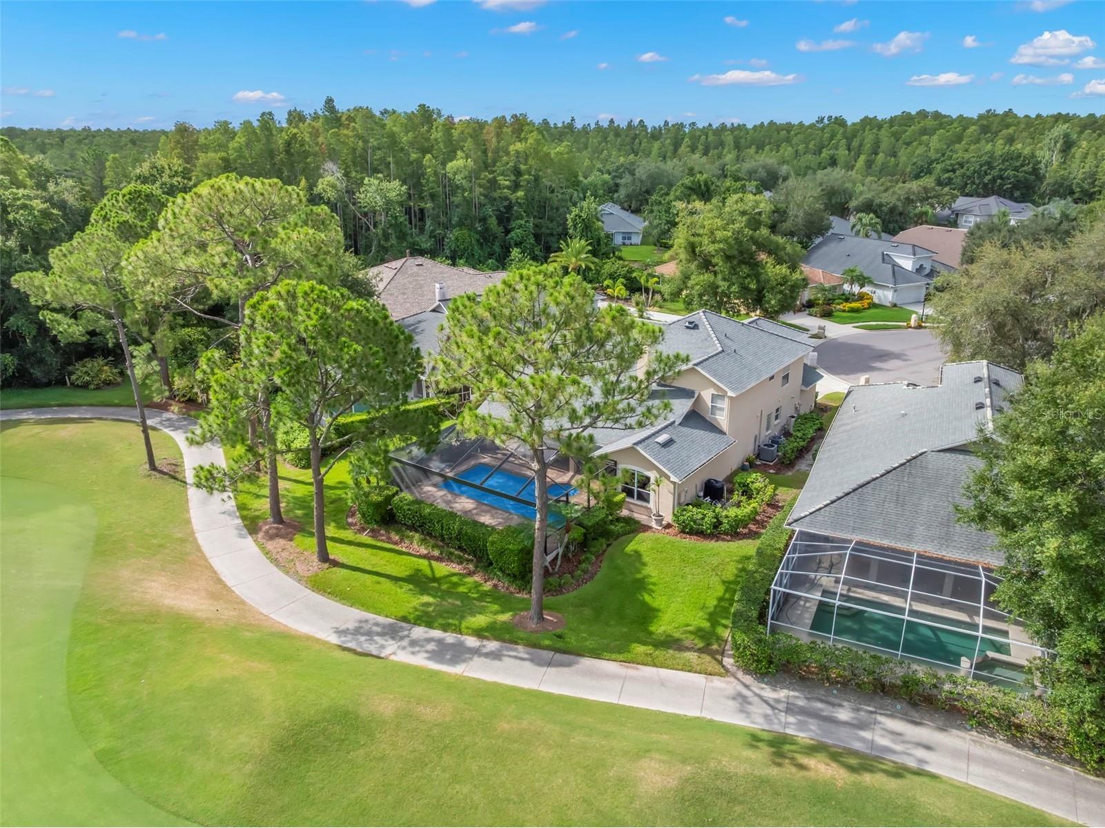 5562 Avenue Du Soleil Lutz FL 33558 TB8516762 image43