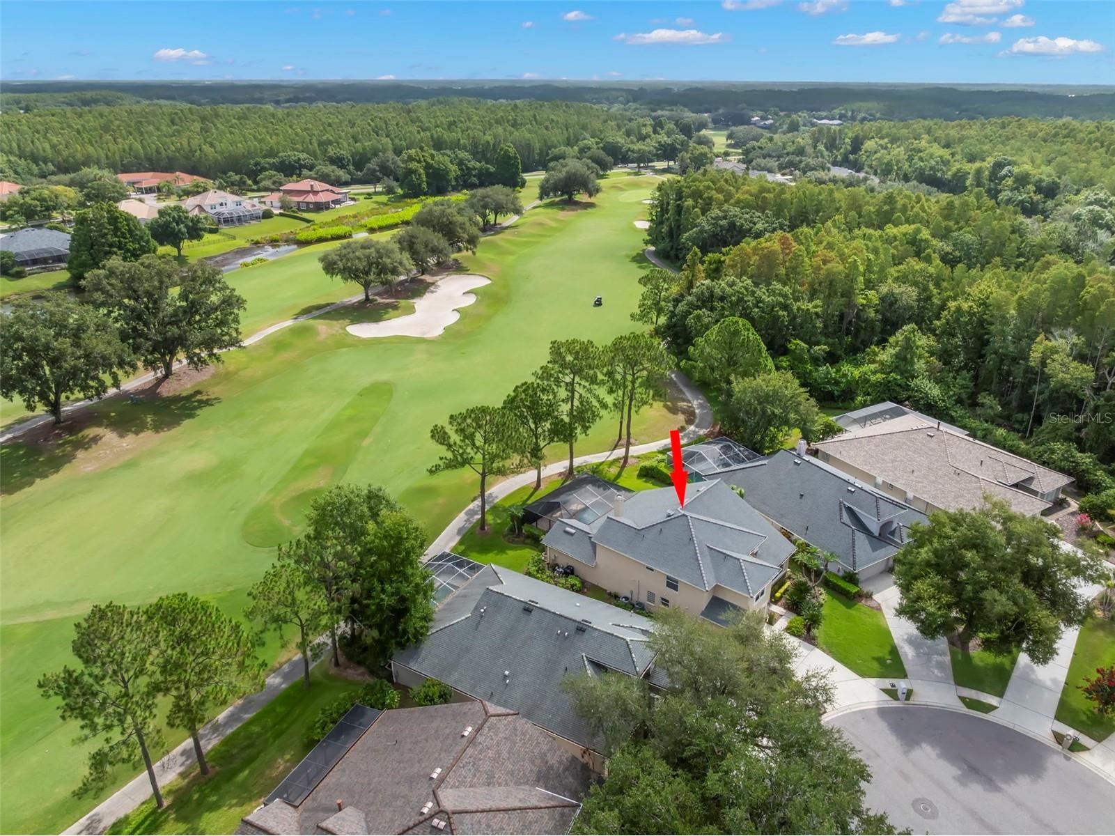 5562 Avenue Du Soleil Lutz FL 33558 TB8516762 image47