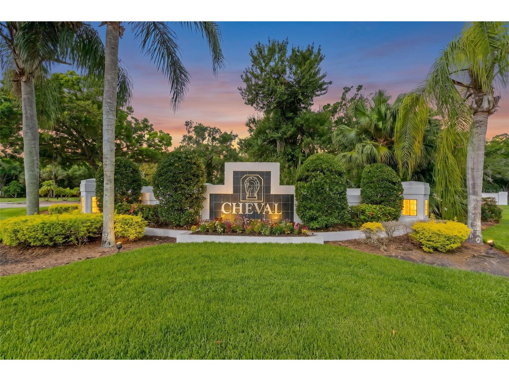 5562 Avenue Du Soleil Lutz FL 33558 TB8516762 image48