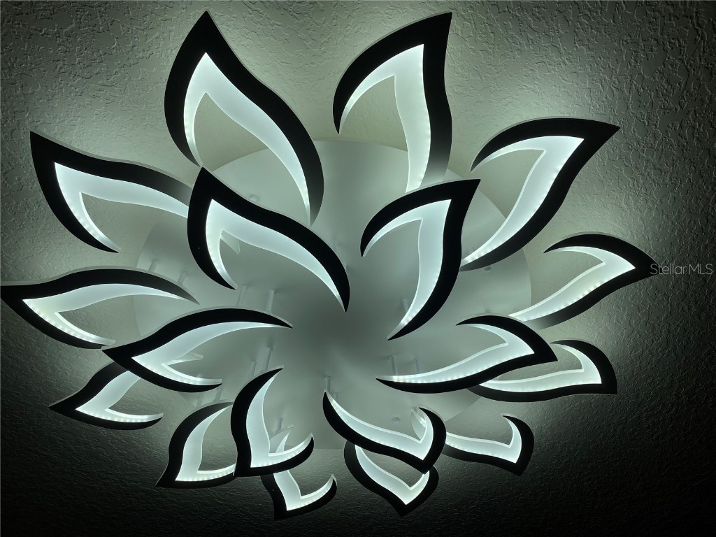 5562 Superior Drive Lakeland FL 33805 S5135812 image12