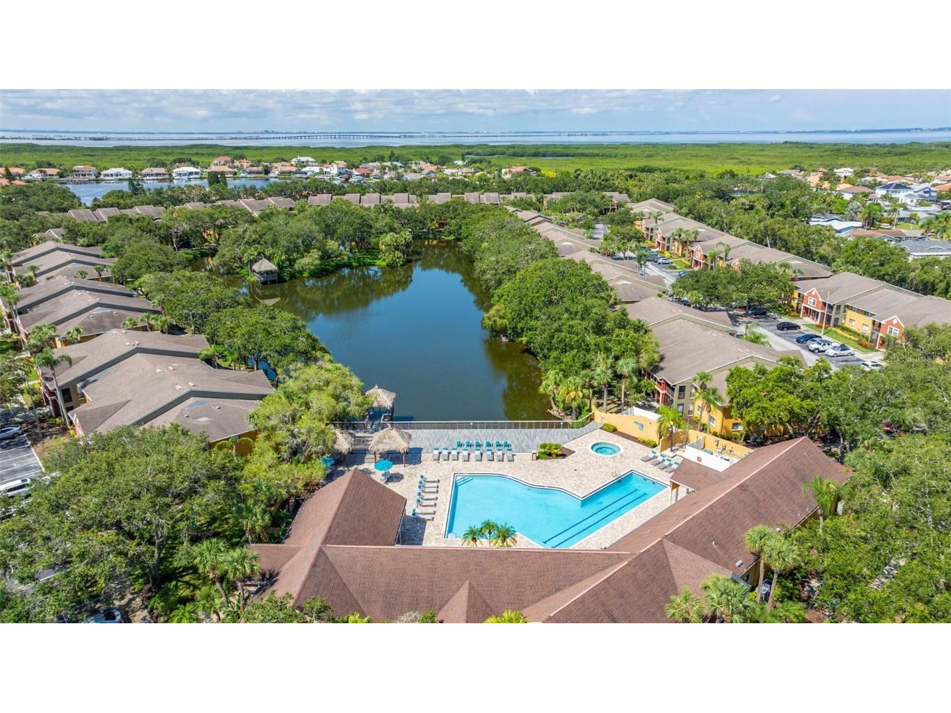 5563 Baywater Drive #37 Tampa FL 33615 TB8408232 image31