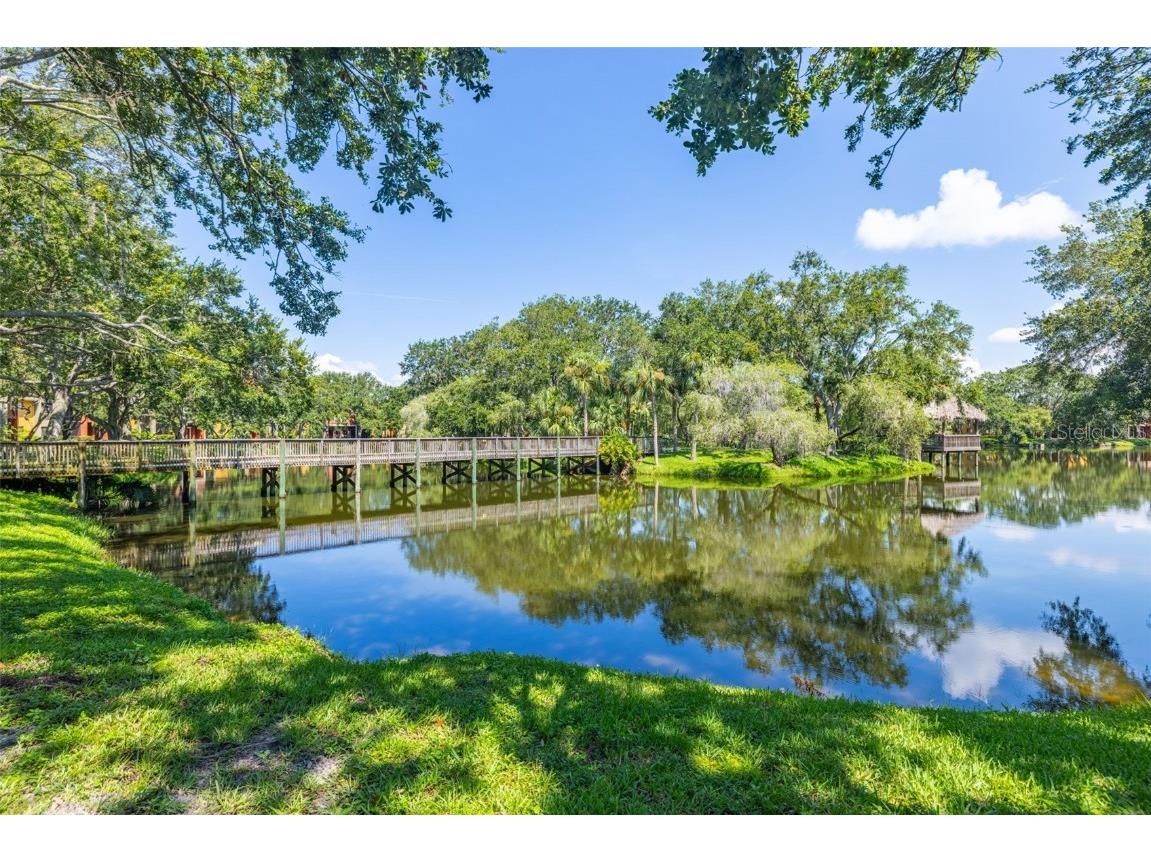 5563 Baywater Drive #37 Tampa FL 33615 TB8408232 image37