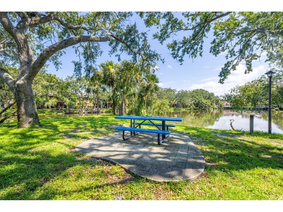 5563 Baywater Drive #37 Tampa FL 33615 TB8408232 image38