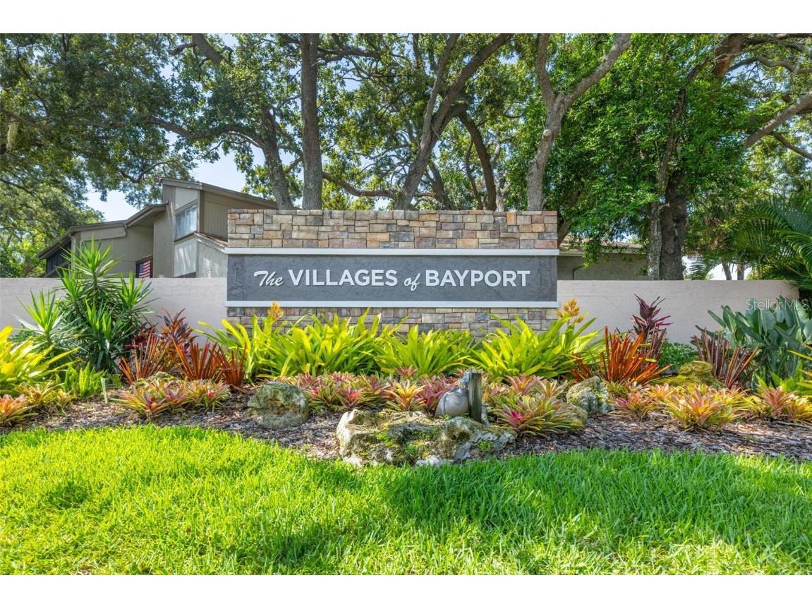 5563 Baywater Drive #37 Tampa FL 33615 TB8408232 image43