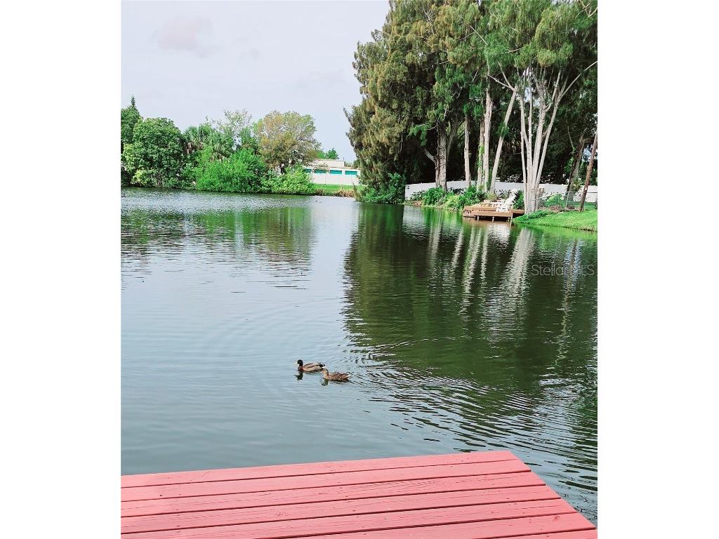 5564 63rd Way N Saint Petersburg FL 33709 TB8430375 image19