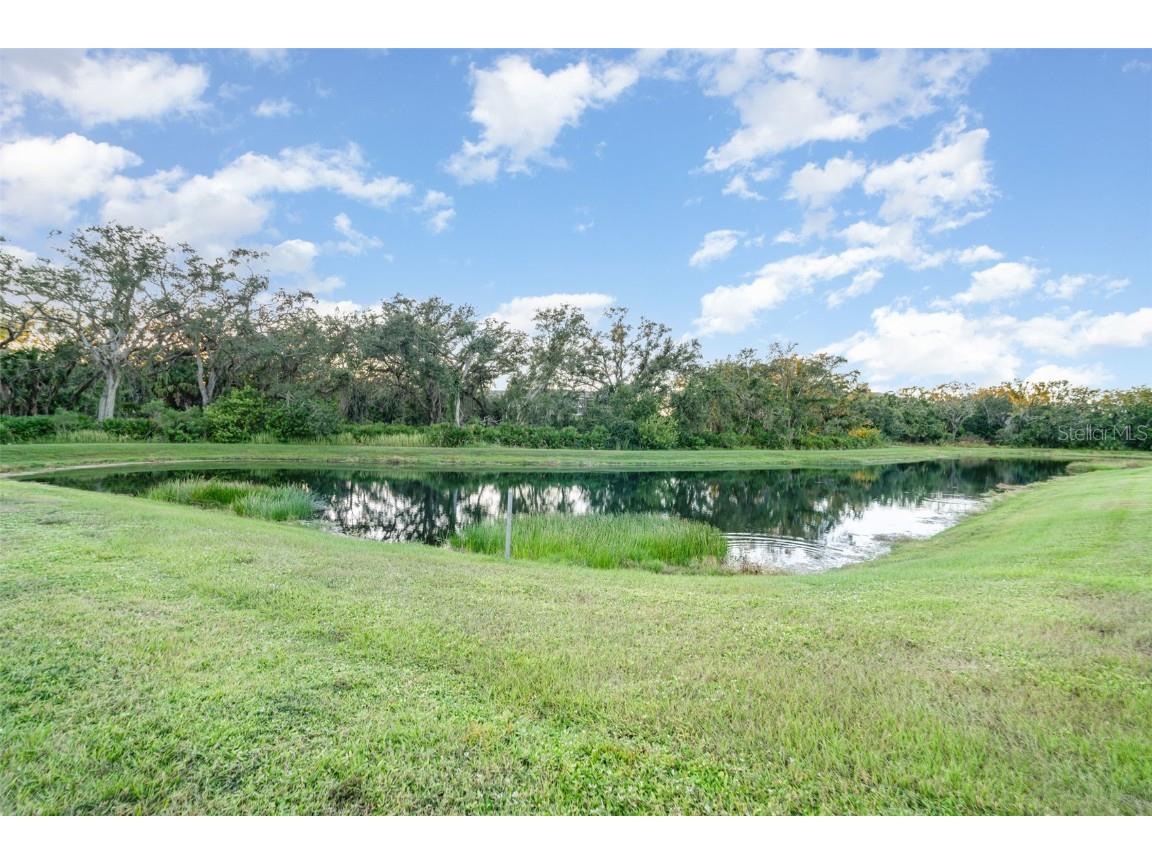 5564 Coachwood Cove Bradenton FL 34211 TB8438497 image36