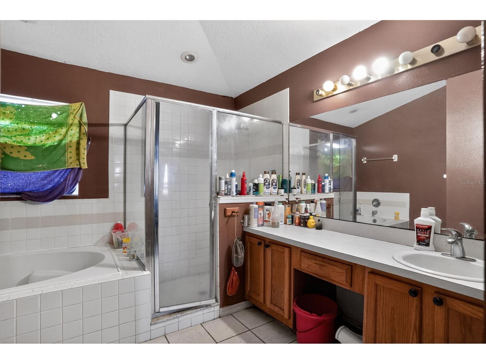 5564 Loma Vista Loop Davenport FL 33896 A4686167 image28