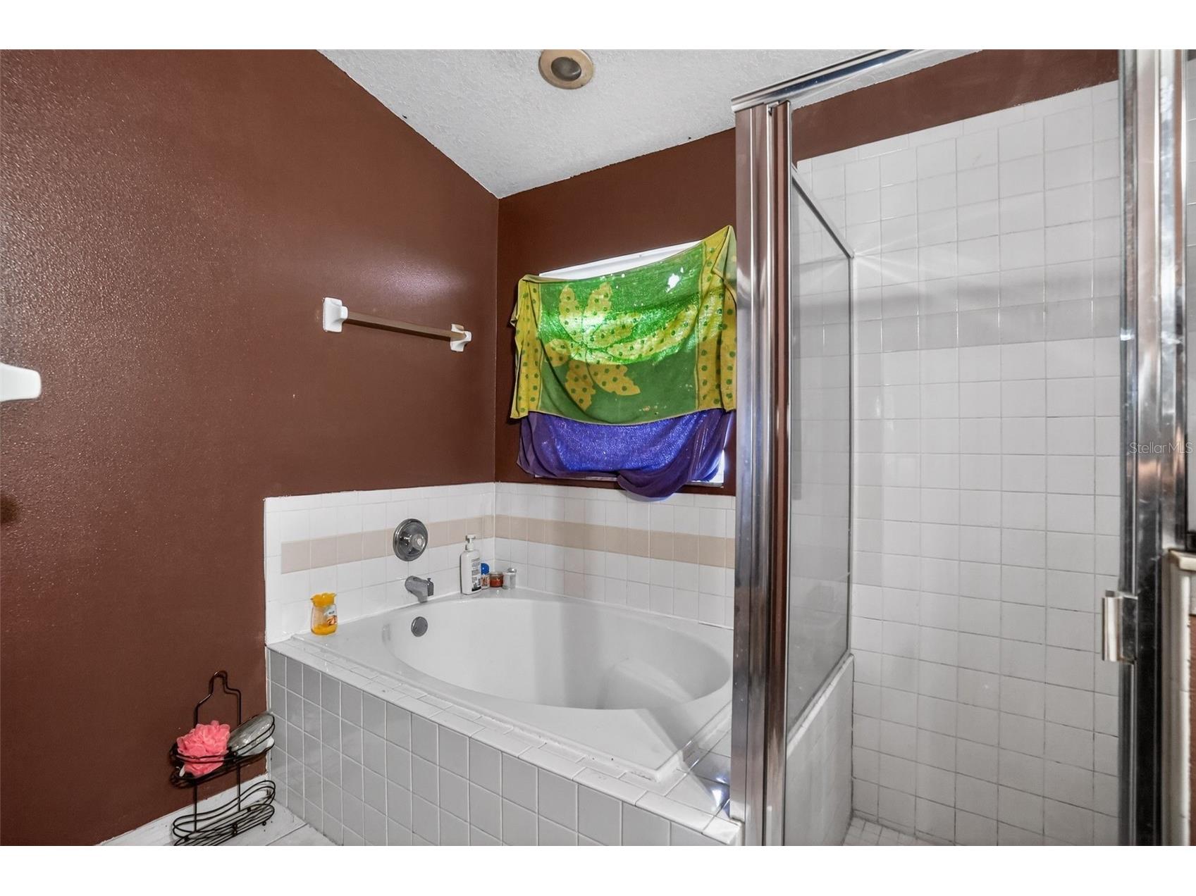 5564 Loma Vista Loop Davenport FL 33896 A4686167 image29