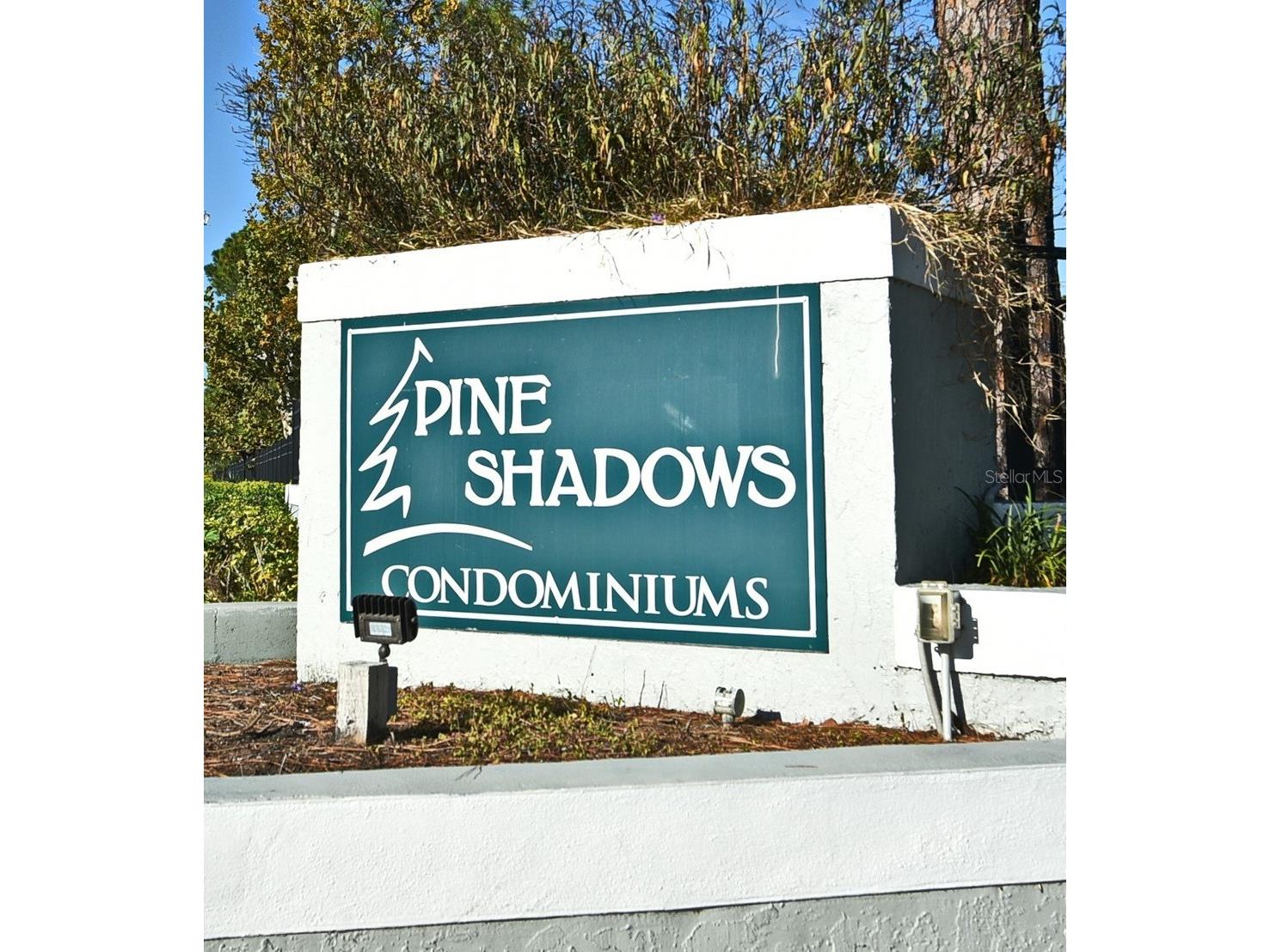 5564 Slash Pine Court #4 Orlando FL 32811 O6319265 image38