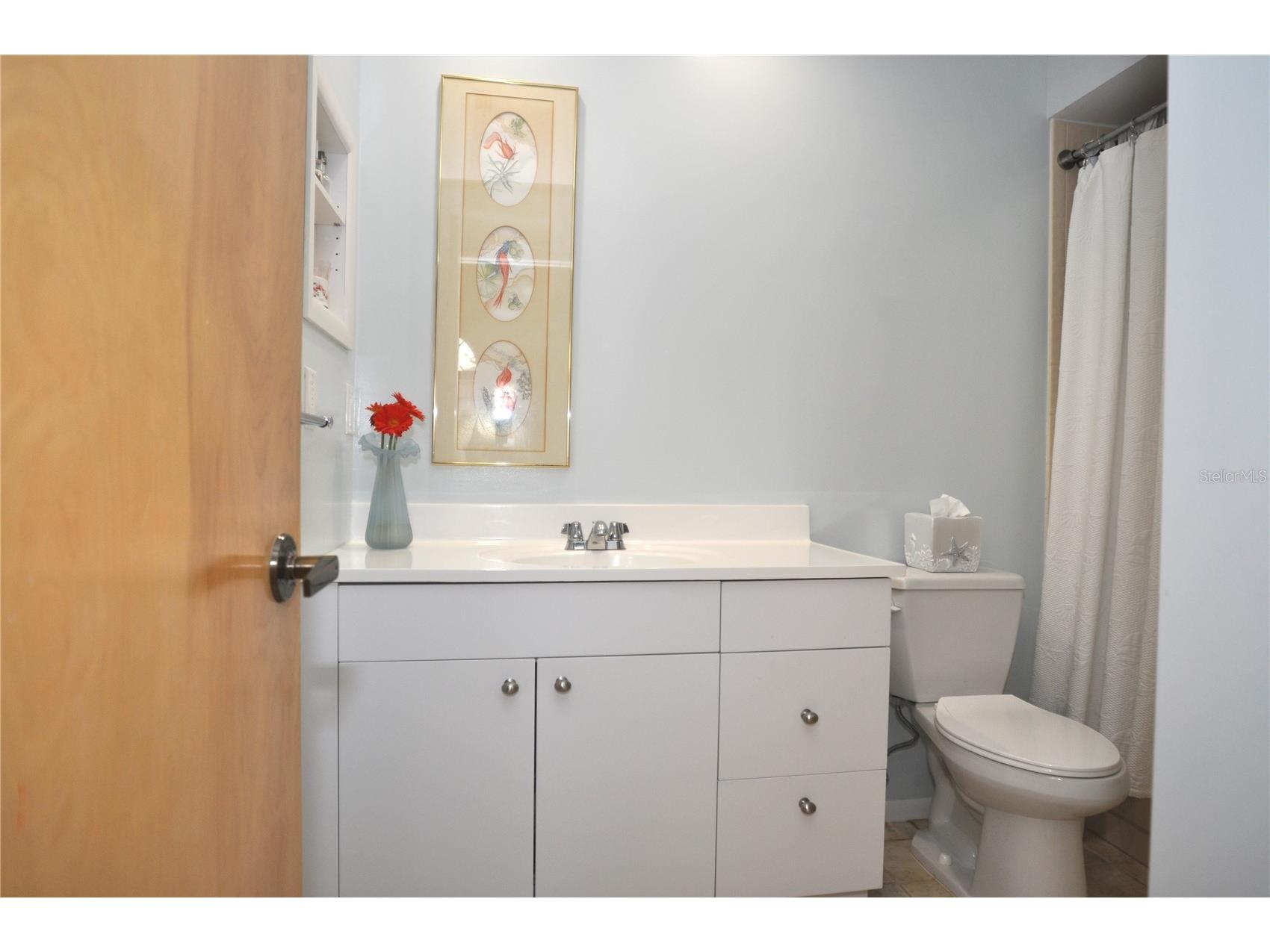 5565 Salem Square Drive N Palm Harbor FL 34685 TB8346345 image24