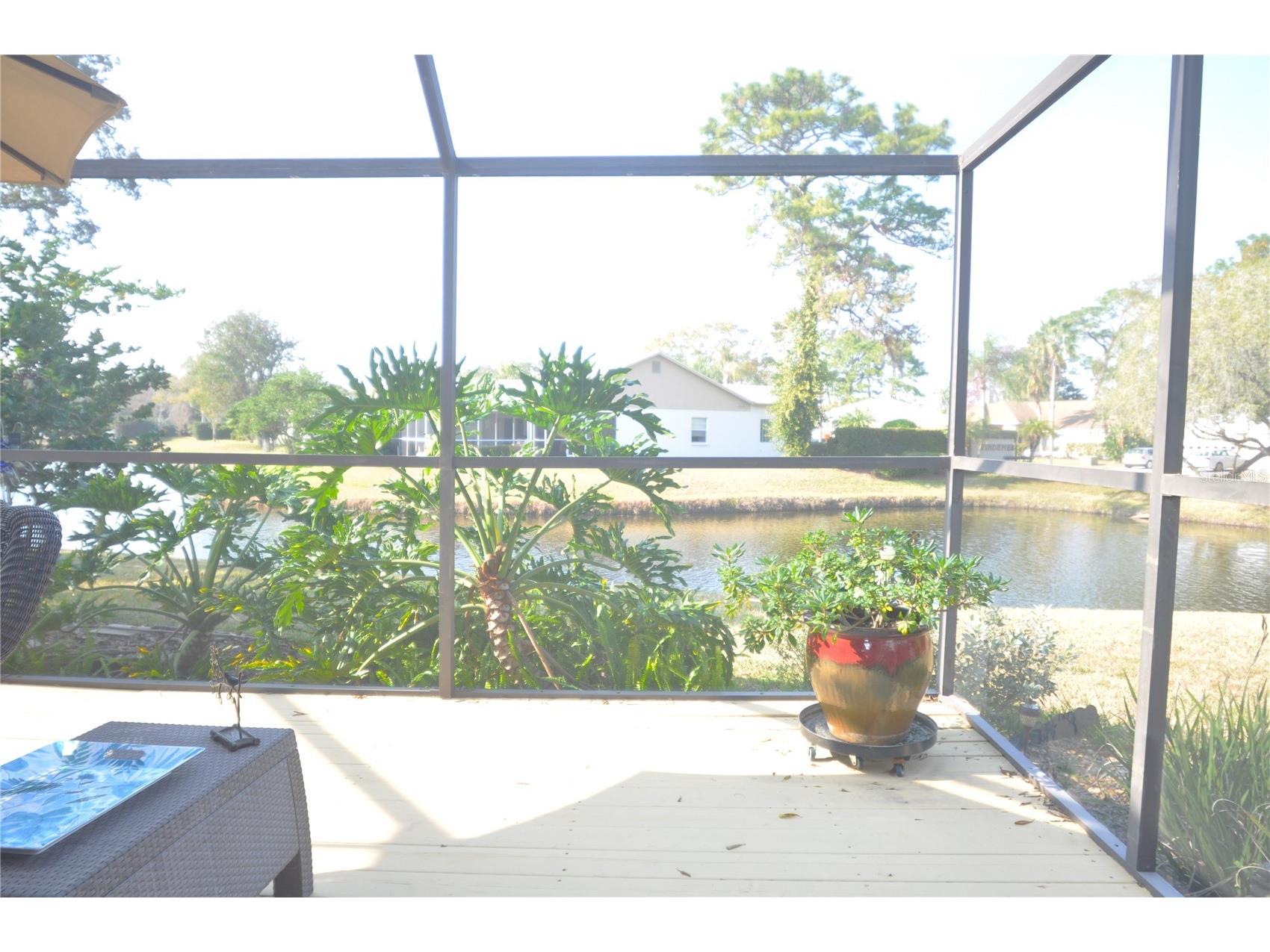 5565 Salem Square Drive N Palm Harbor FL 34685 TB8346345 image30