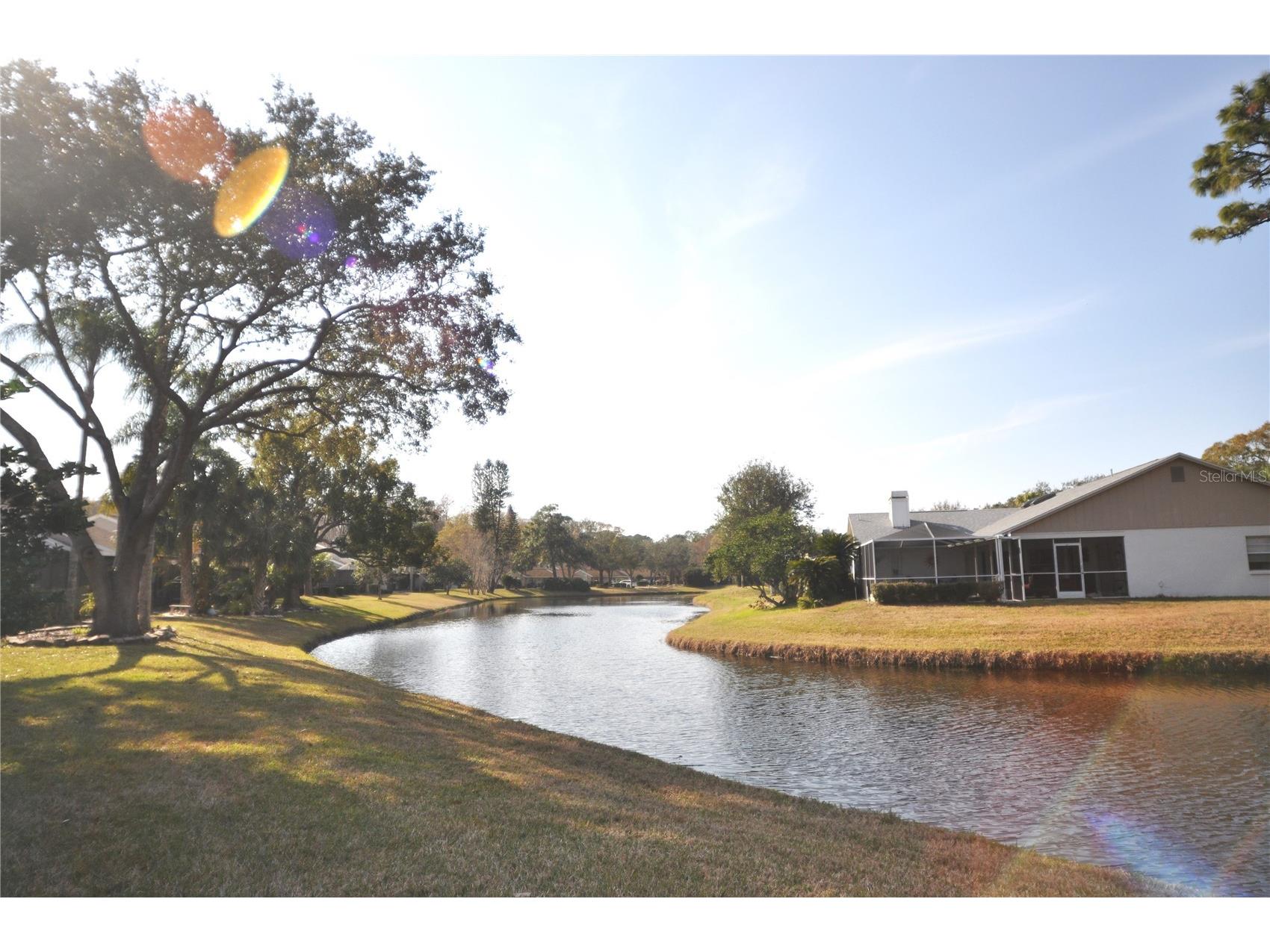 5565 Salem Square Drive N Palm Harbor FL 34685 TB8346345 image36