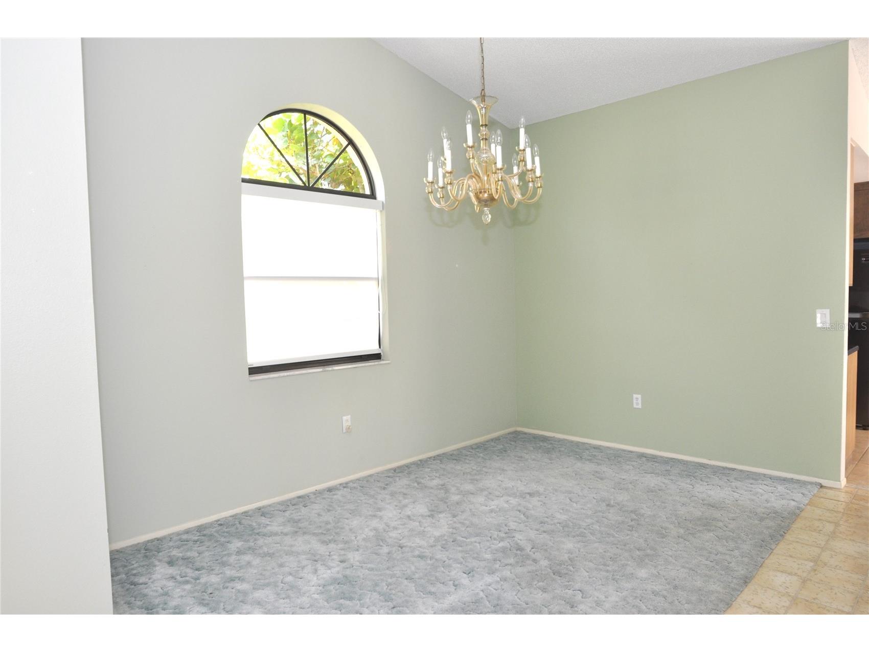 5565 Salem Square Drive N Palm Harbor FL 34685 TB8346345 image4