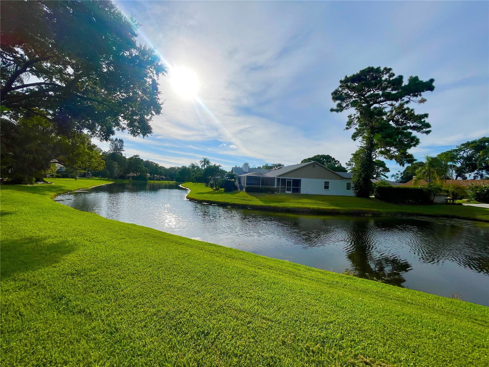 5565 Salem Square Drive N Palm Harbor FL 34685 TB8524190 image18