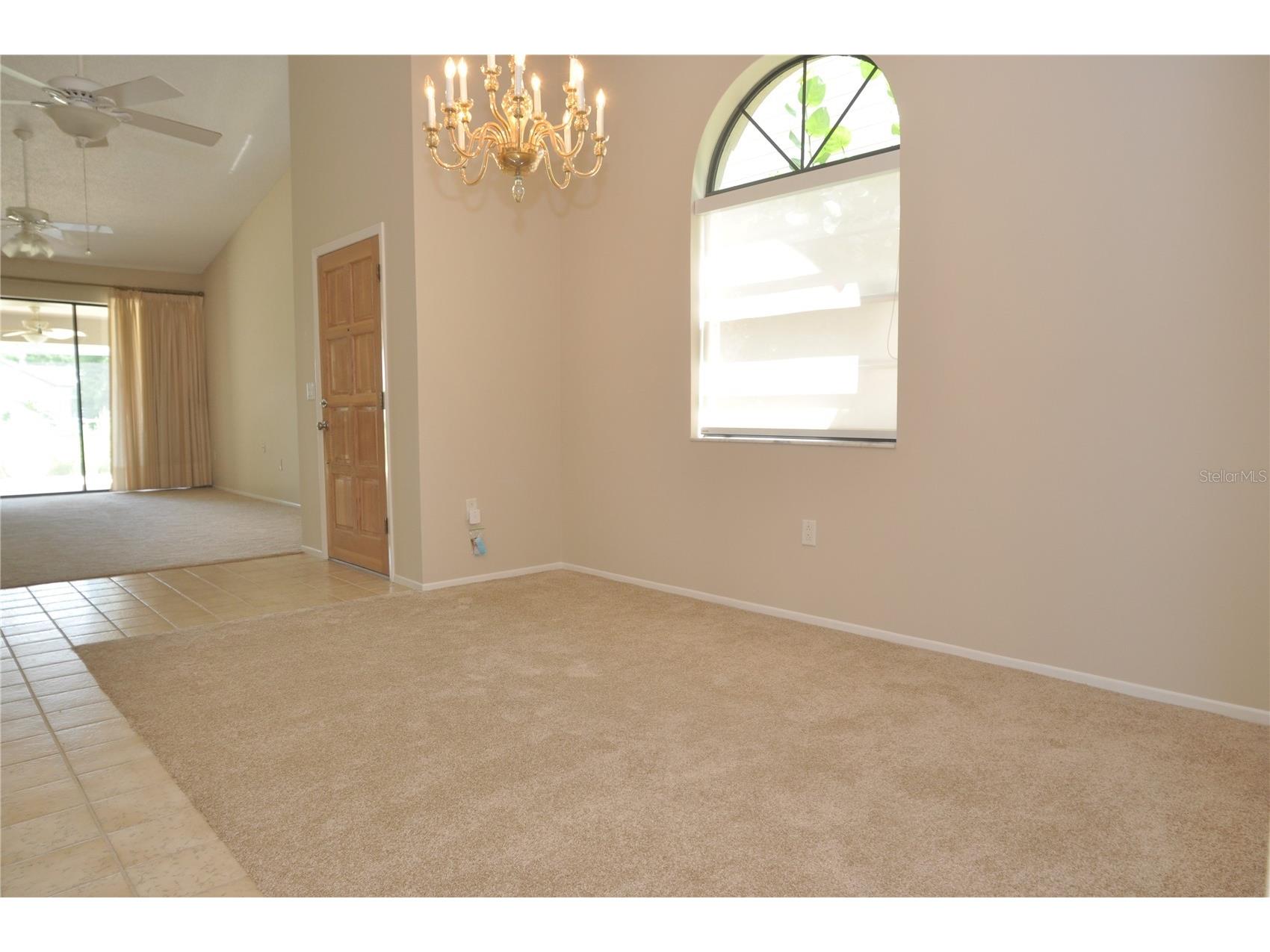 5565 Salem Square Drive N Palm Harbor FL 34685 TB8524190 image22