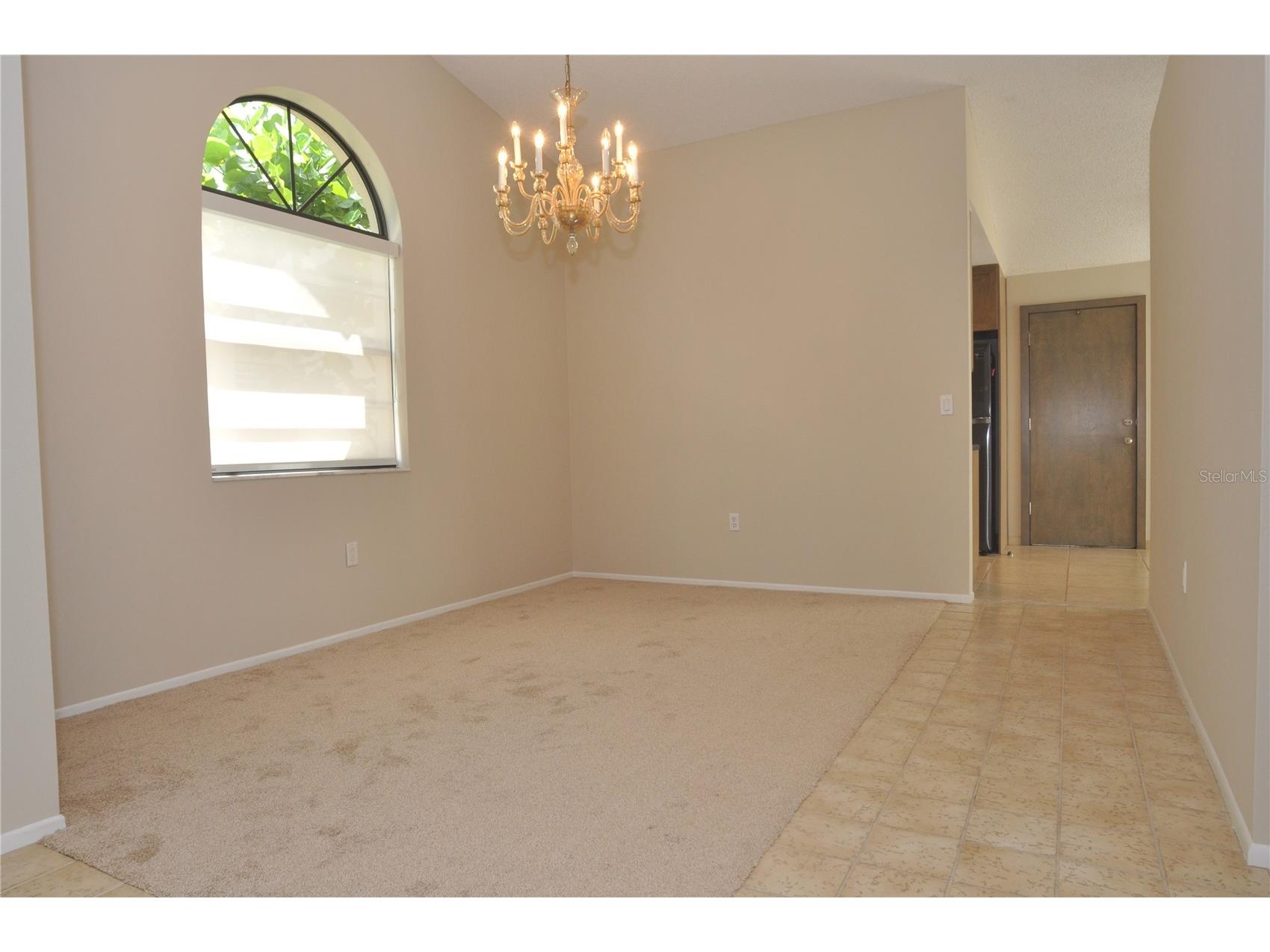 5565 Salem Square Drive N Palm Harbor FL 34685 TB8524190 image23