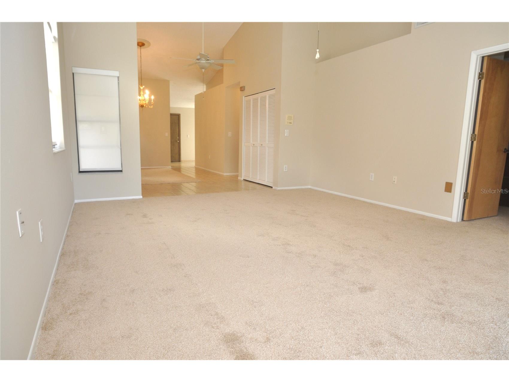 5565 Salem Square Drive N Palm Harbor FL 34685 TB8524190 image32