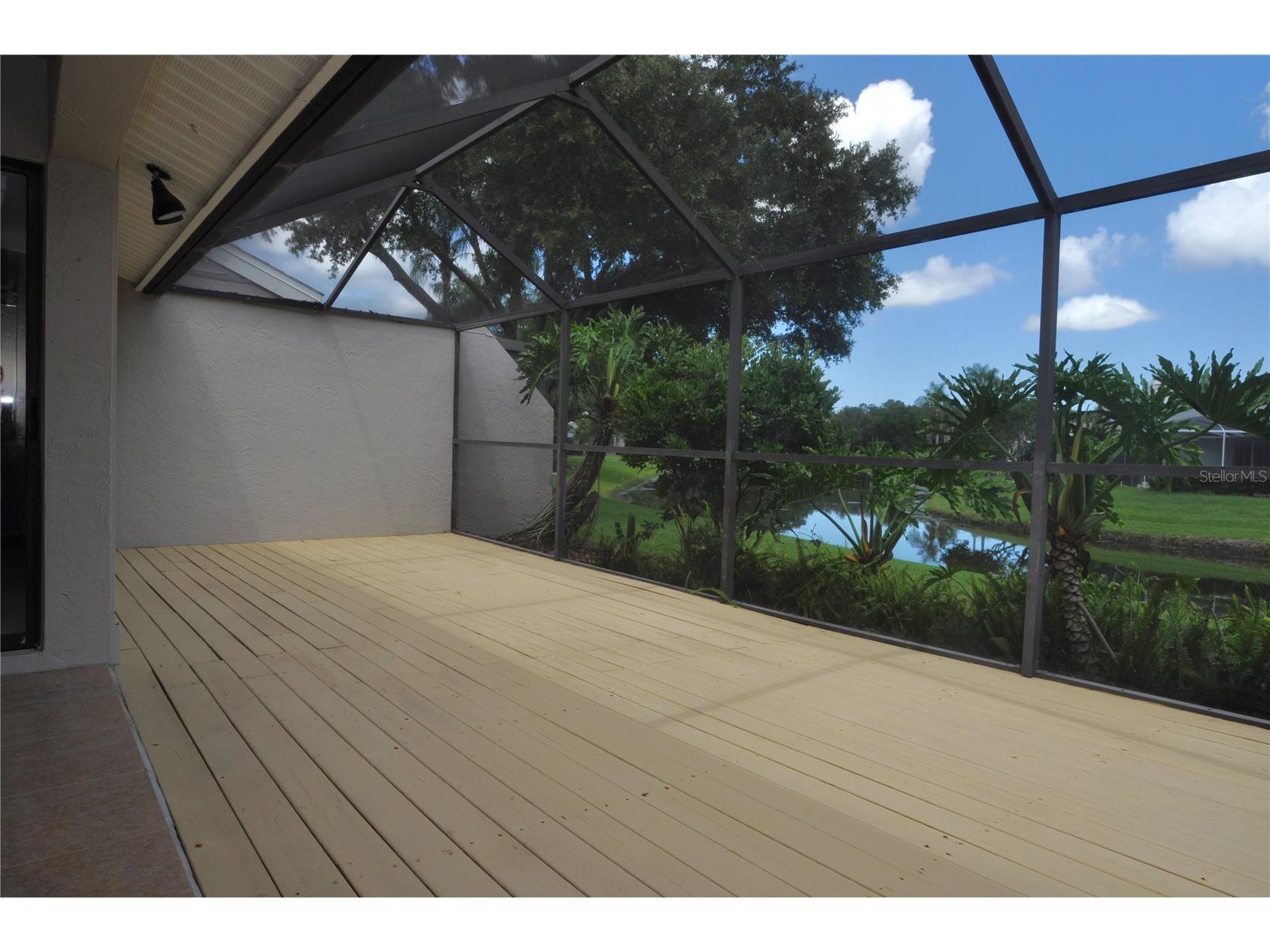 5565 Salem Square Drive N Palm Harbor FL 34685 TB8524190 image37