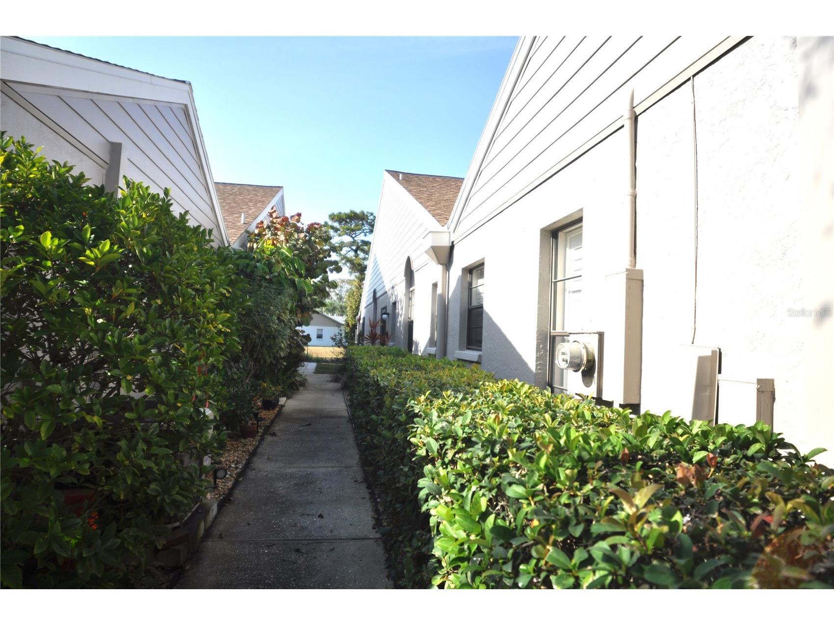 5565 Salem Square Drive N Palm Harbor FL 34685 TB8524190 image39