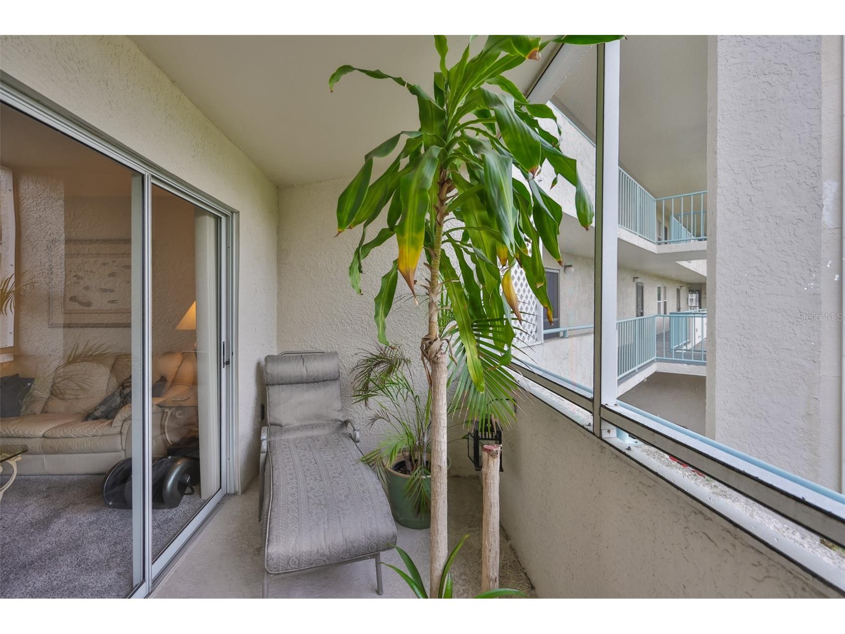 5567 Sea Forest Drive #122 New Port Richey FL 34652 TB8471629 image10