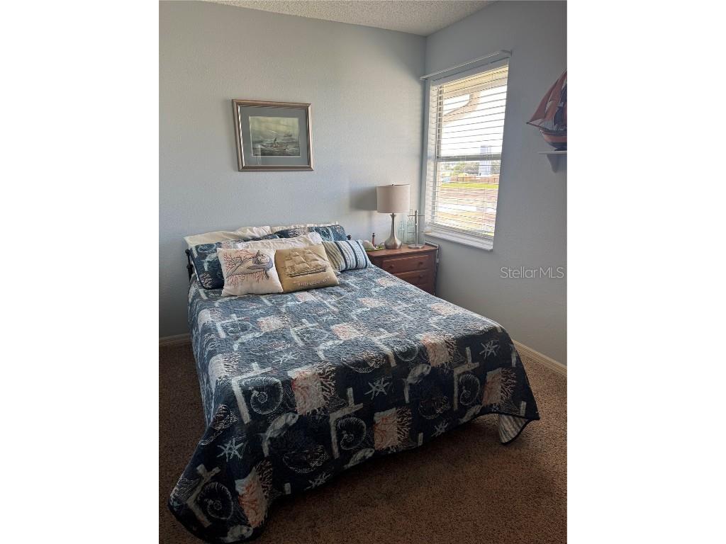 5567 Sea Forest Drive #319 New Port Richey FL 34652 TB8417703 image32