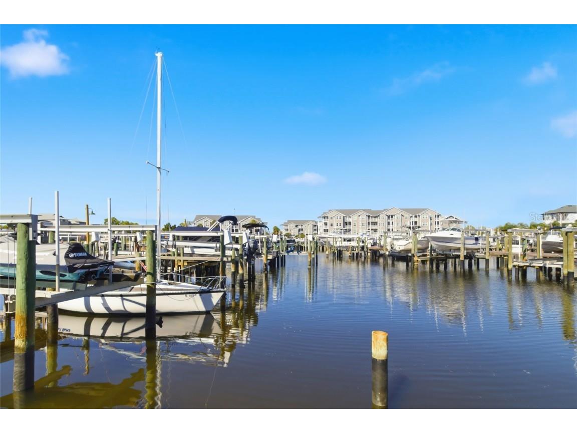 5567 Sea Forest Drive #323 New Port Richey FL 34652 TB8440652 image39