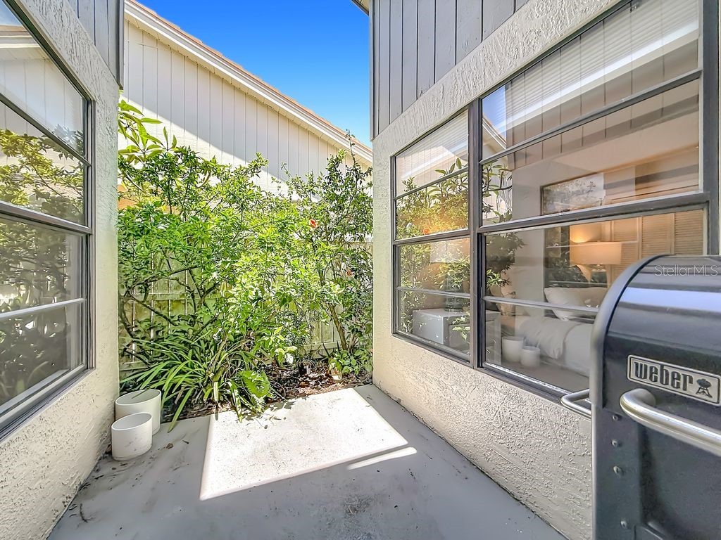 5569 Greyston Street Palm Harbor FL 34685 G5112911 image30