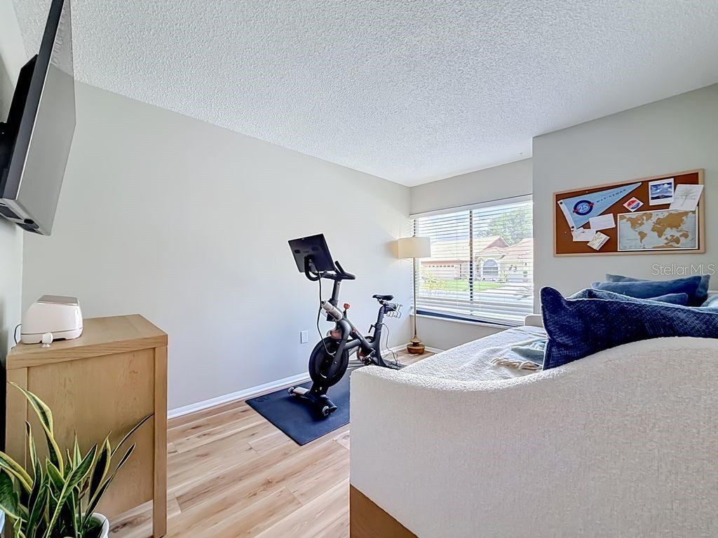 5569 Greyston Street Palm Harbor FL 34685 G5112911 image33