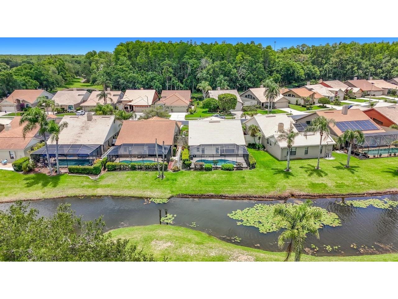 5569 Greyston Street Palm Harbor FL 34685 G5112911 image47