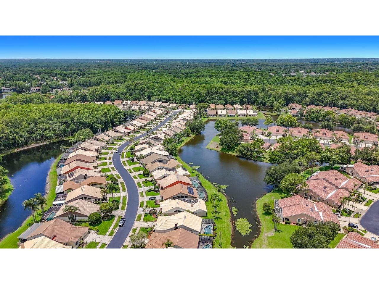 5569 Greyston Street Palm Harbor FL 34685 G5112911 image48
