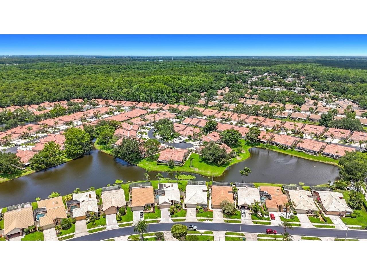 5569 Greyston Street Palm Harbor FL 34685 G5112911 image49