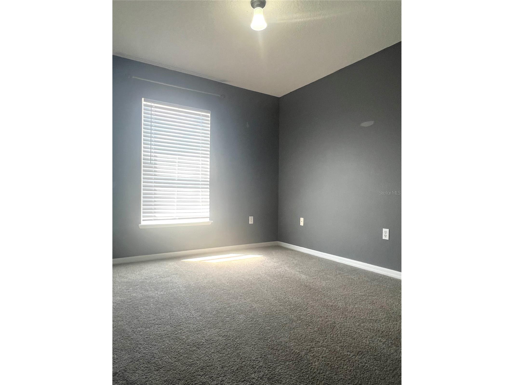 557 Milford Street Davenport FL 33897 S5147195 image18