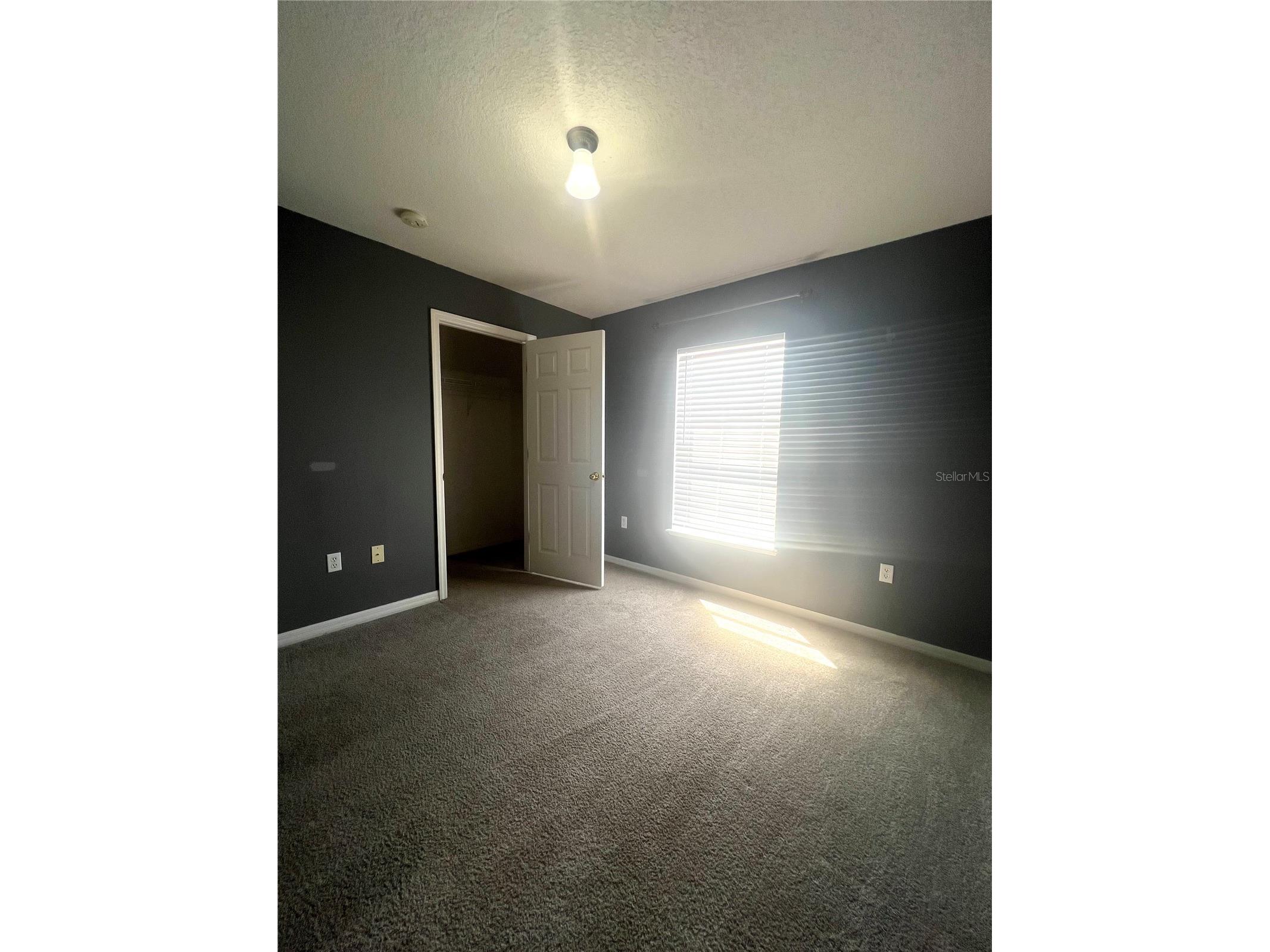 557 Milford Street Davenport FL 33897 S5147195 image19
