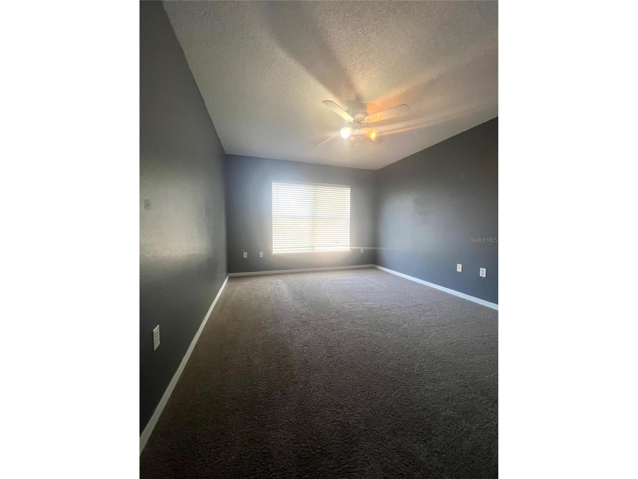 557 Milford Street Davenport FL 33897 S5147195 image24