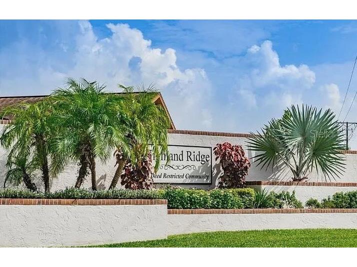 557 Rapid Falls Drive Brandon FL 33511 TB8506910 image2