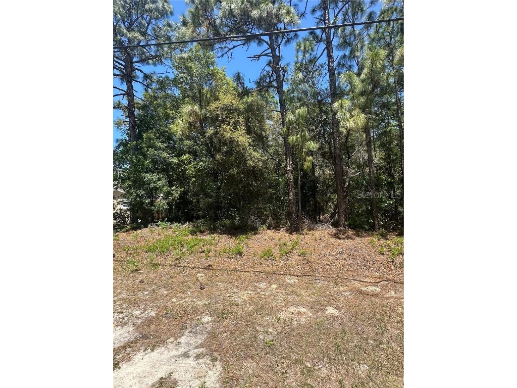 557 W Anderson Lane Citrus Springs FL 34434 OM701517 image1