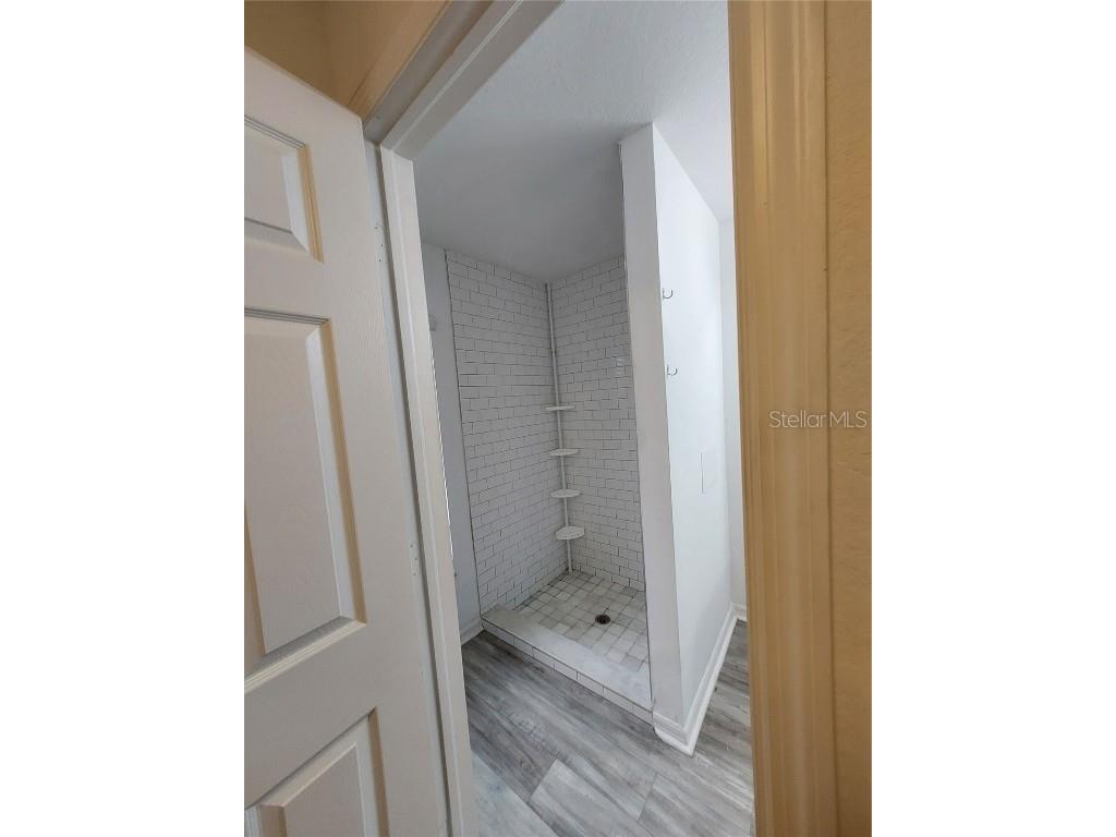 557 Windermere Drive Lehigh Acres FL 33972 TB8382022 image17