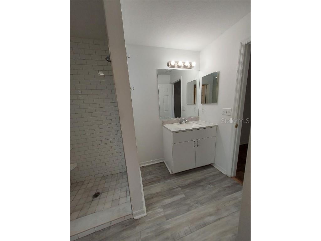 557 Windermere Drive Lehigh Acres FL 33972 TB8382022 image18