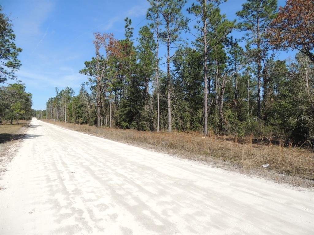 5571 NE 107th Court Bronson FL 32621 OM669694 image1