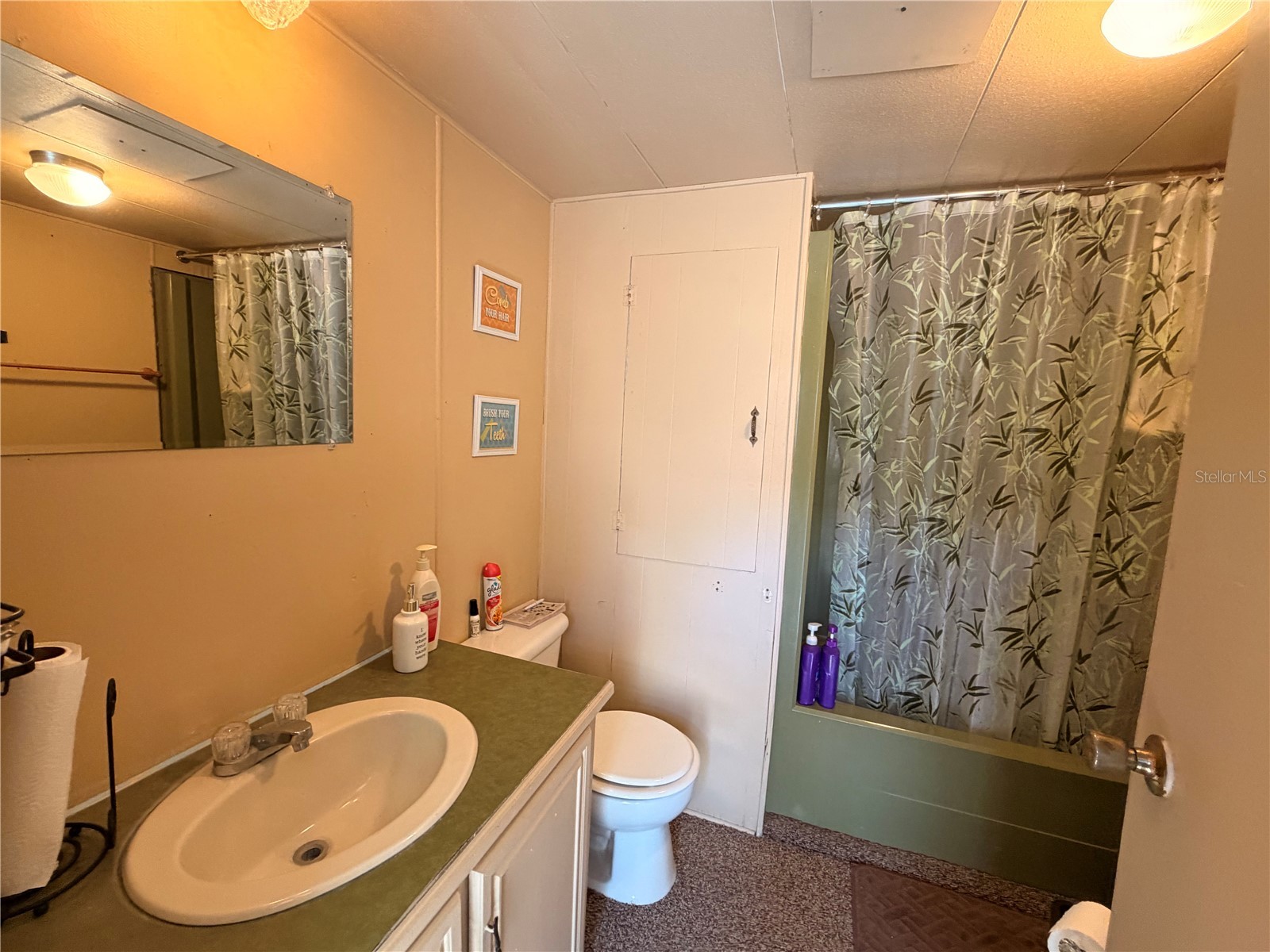 55710 Fern Road Astor FL 32102 R4910910 image8