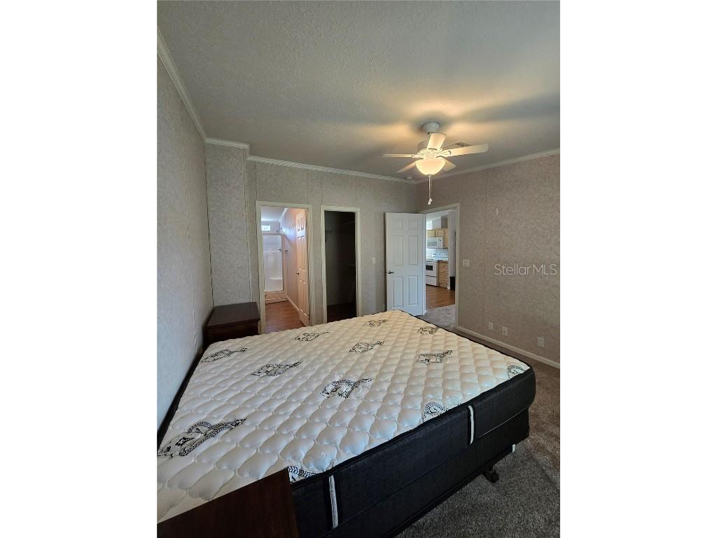 55716 Keith Street Astor FL 32102 - ST JOHN'S RIVER R4910309 image10