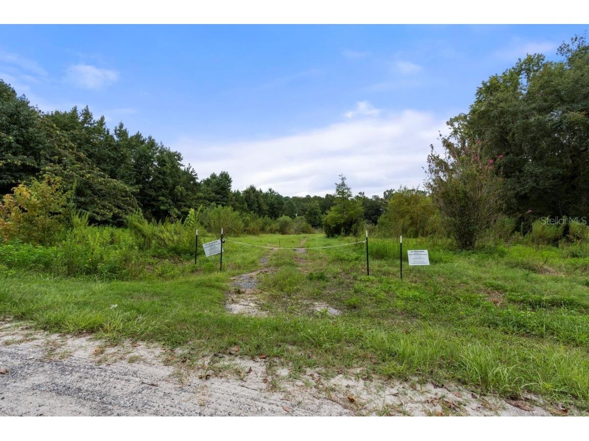 5572 SW 111th Lane Lake Butler FL 32054 A4620809 image1