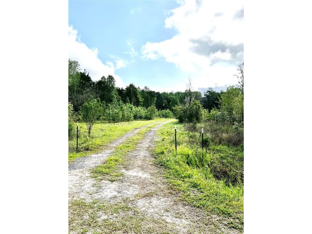 5572 SW 111th Lane Lake Butler FL 32054 GC529566 image1
