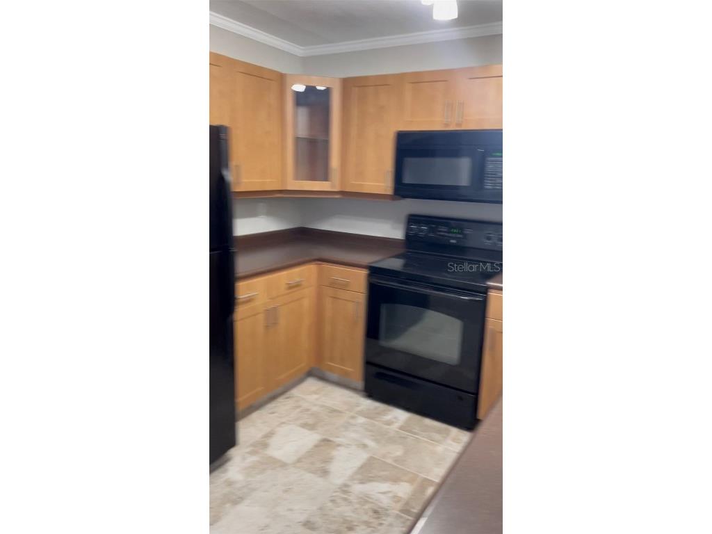 5573 Baywater Drive #5573 Tampa FL 33615 U8152588 image1