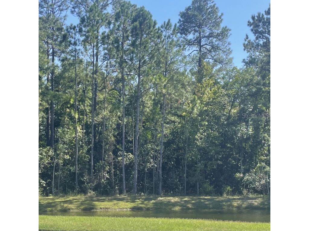 5573 Casavedra Court Jacksonville FL 32244 A4672037 image32