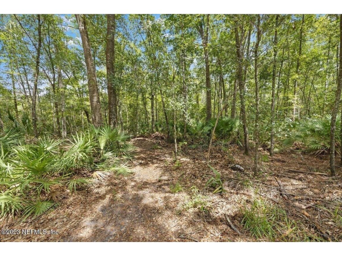 5573 Casavedra Court Jacksonville FL 32244 A4672037 image33